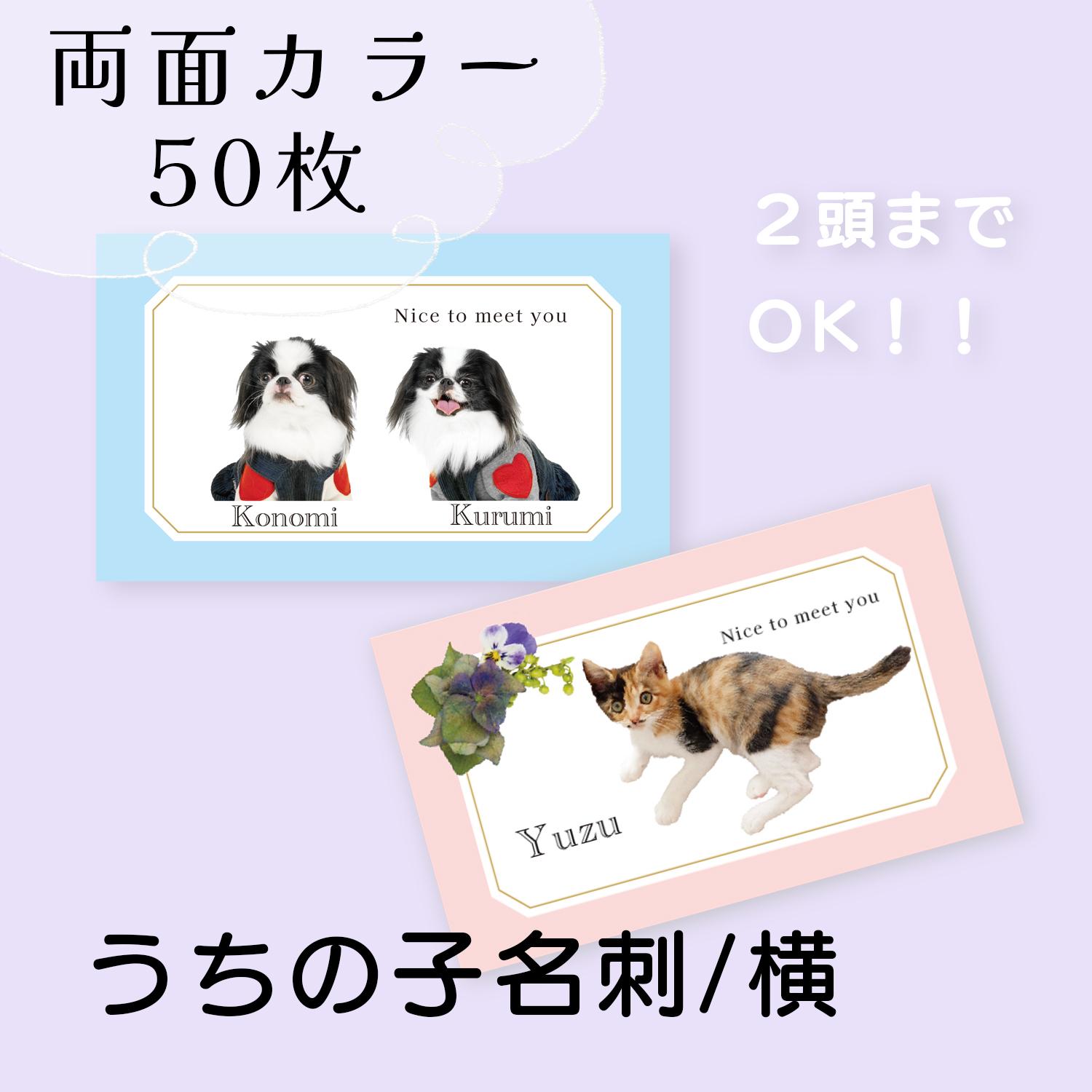 ペット名刺横 両面カラー50枚 フレーム風 多頭飼い対応